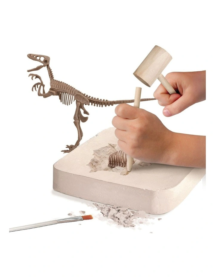 Best Pirce π Discovery Toy Dinosaur Excavation Kit Skeleton 3D Puzzle Velociraptor π - Image 3