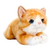 Buy 😉 Korimco Cuddle Kitten Ginger 32cm Plush Toy 🥰